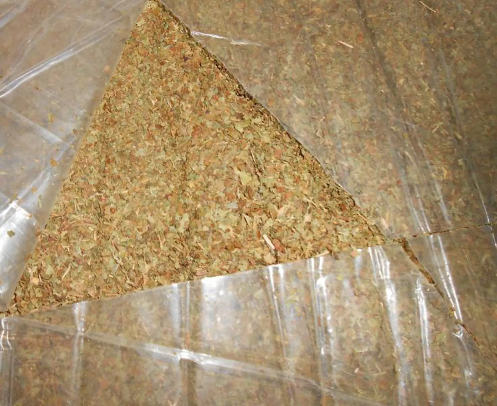Crushed green and brown kratom leaf material inside clear plastic bags, photographed by customs officers after a seizure.